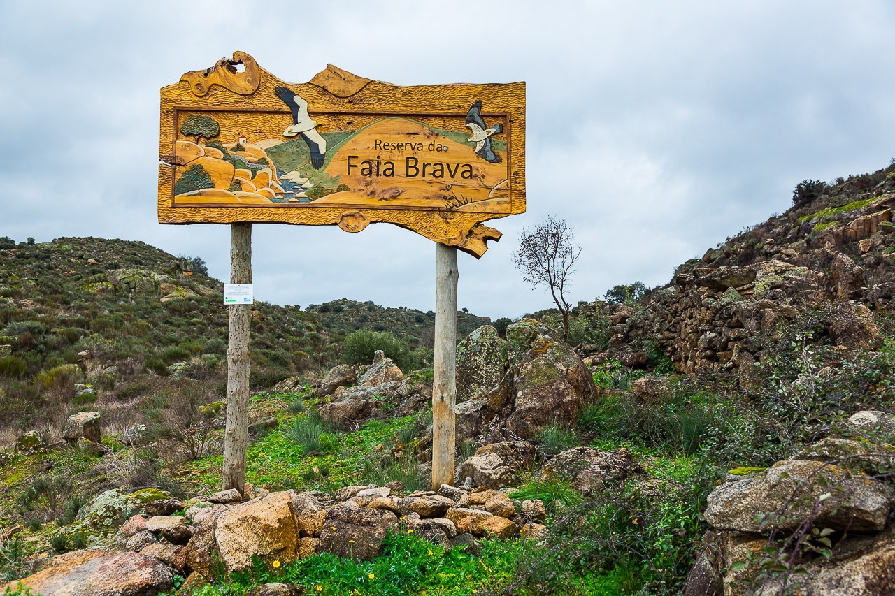 Reserva da Faia Brava - Associação de Transumância e Natureza